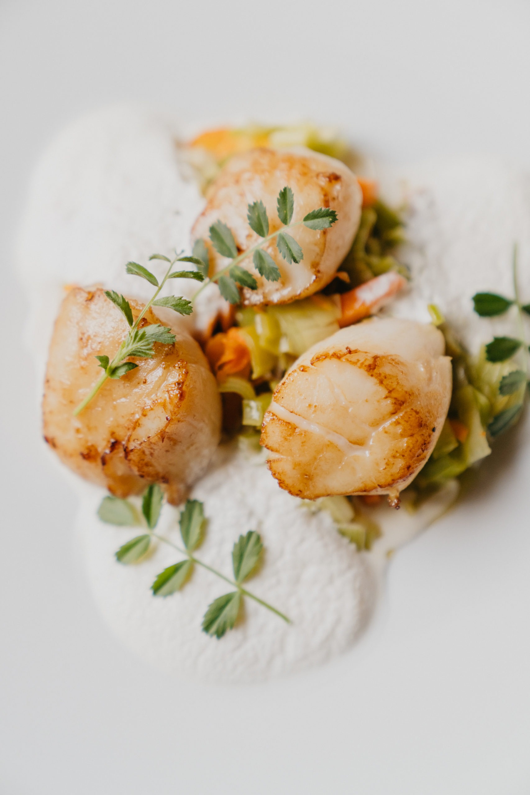 Saint-jacques, avec amour terville 2025