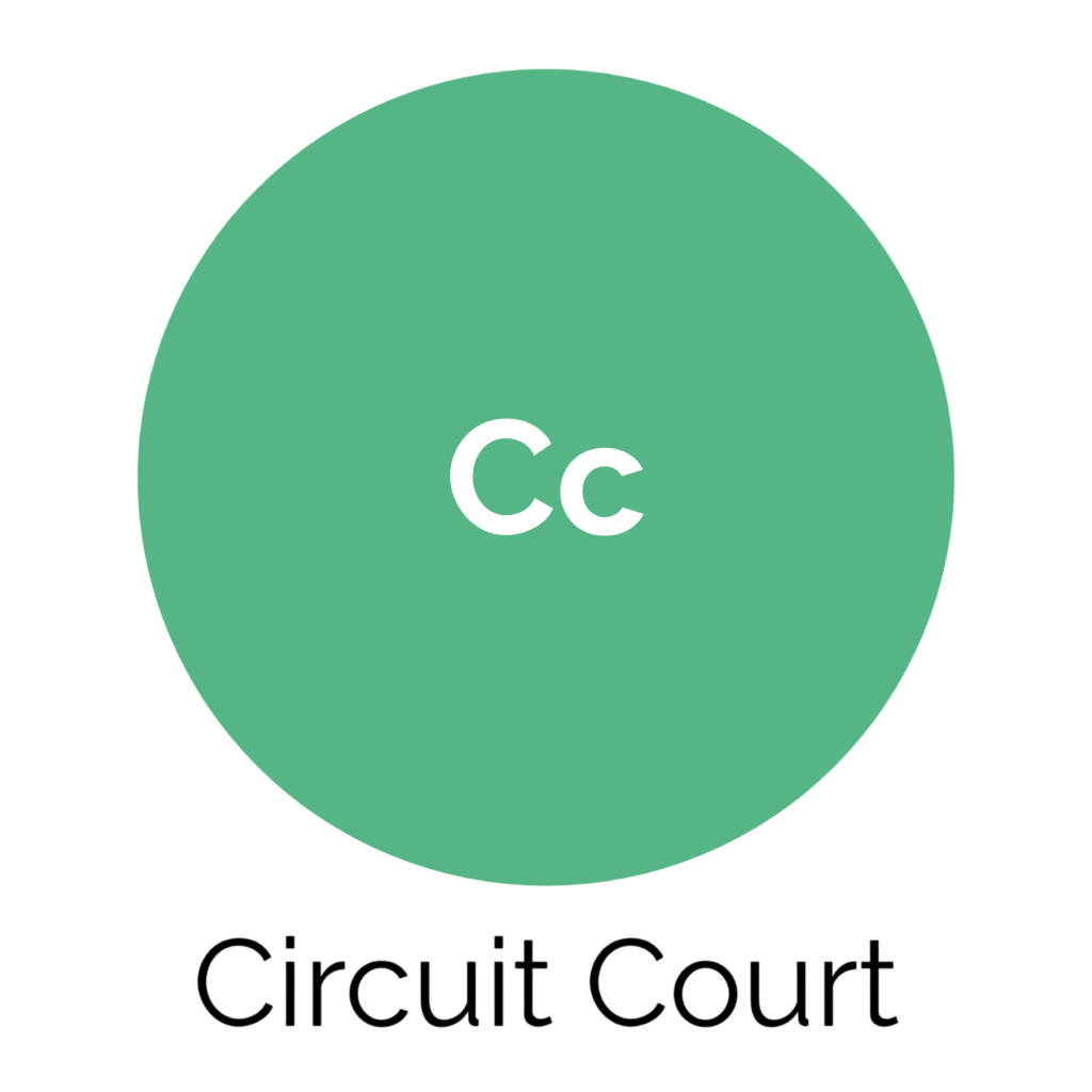 badge circuit court